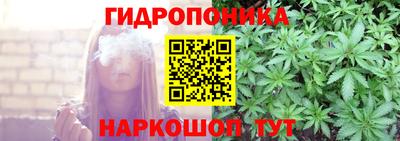 СК Новозыбков