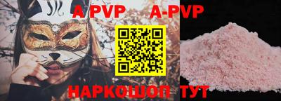 СК Новозыбков